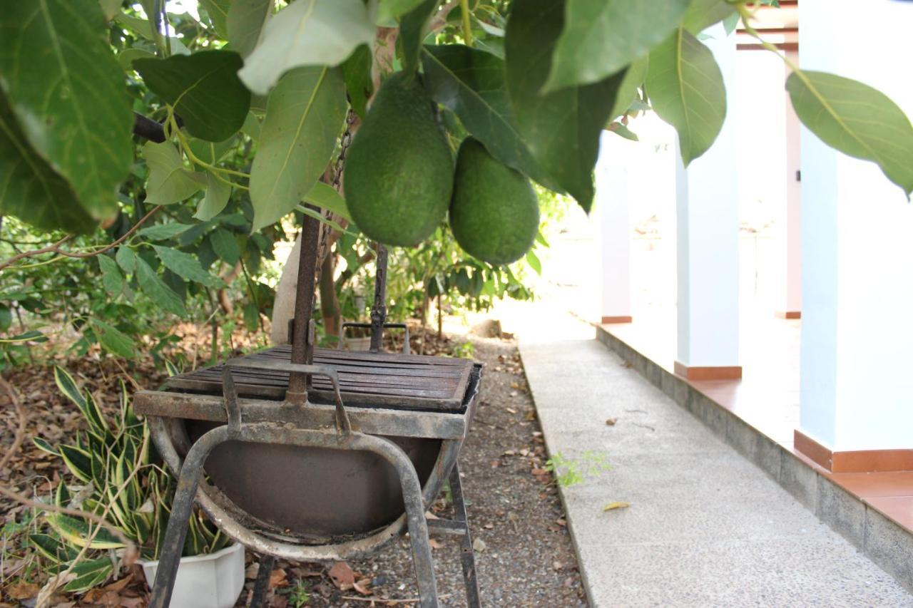Casita Lily Villa Las Palmas de Gran Canaria Eksteriør bilde
